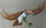 falcon