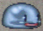puni