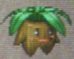 mandra