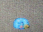 puni