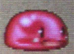 puni