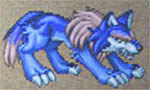 wolf