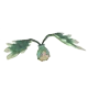 Caerurea